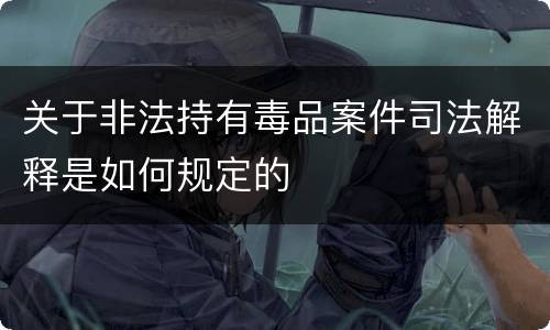 关于非法持有毒品案件司法解释是如何规定的