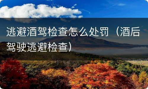 逃避酒驾检查怎么处罚（酒后驾驶逃避检查）