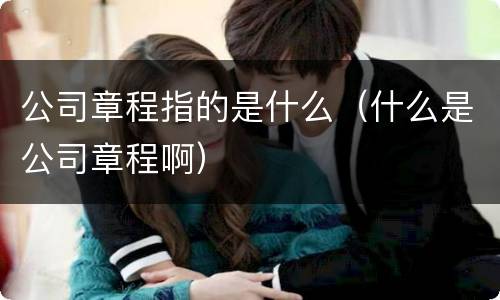 公司章程指的是什么（什么是公司章程啊）