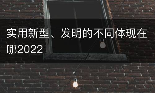 实用新型、发明的不同体现在哪2022