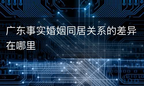 广东事实婚姻同居关系的差异在哪里