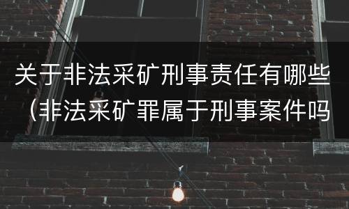 关于非法采矿刑事责任有哪些（非法采矿罪属于刑事案件吗）