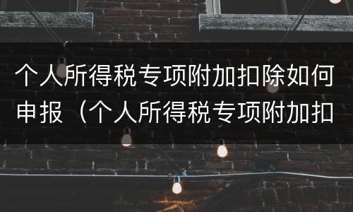 个人所得税专项附加扣除如何申报（个人所得税专项附加扣除如何申报缴纳）