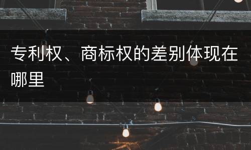 专利权、商标权的差别体现在哪里