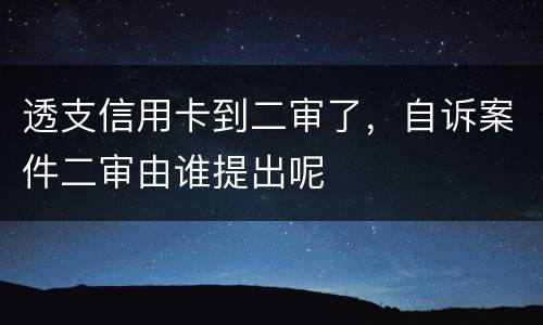 透支信用卡到二审了，自诉案件二审由谁提出呢