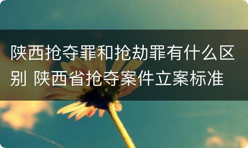 陕西抢夺罪和抢劫罪有什么区别 陕西省抢夺案件立案标准