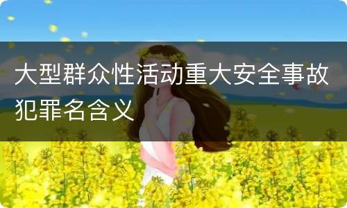 大型群众性活动重大安全事故犯罪名含义