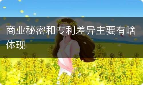 商业秘密和专利差异主要有啥体现