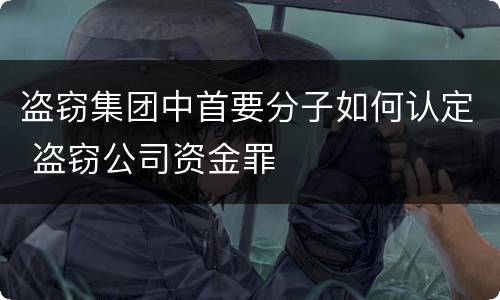 盗窃集团中首要分子如何认定 盗窃公司资金罪