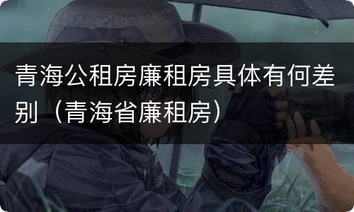 青海公租房廉租房具体有何差别（青海省廉租房）