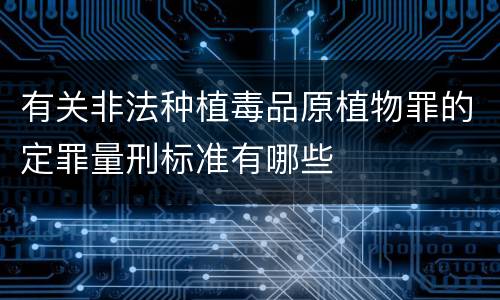 有关非法种植毒品原植物罪的定罪量刑标准有哪些