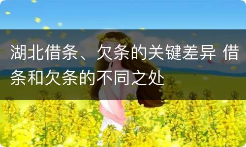 湖北借条、欠条的关键差异 借条和欠条的不同之处