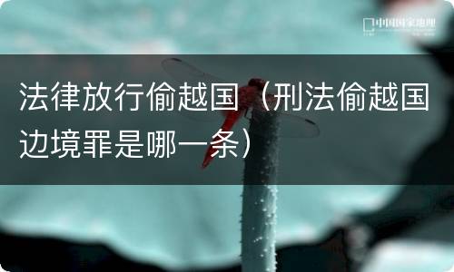 法律放行偷越国（刑法偷越国边境罪是哪一条）
