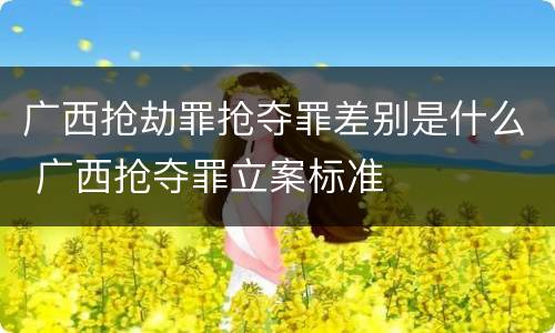 广西抢劫罪抢夺罪差别是什么 广西抢夺罪立案标准