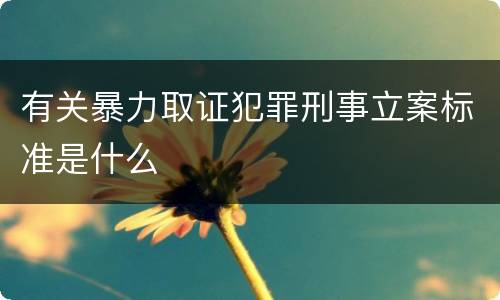 有关暴力取证犯罪刑事立案标准是什么