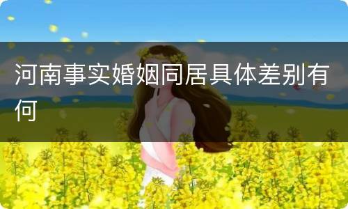 河南事实婚姻同居具体差别有何
