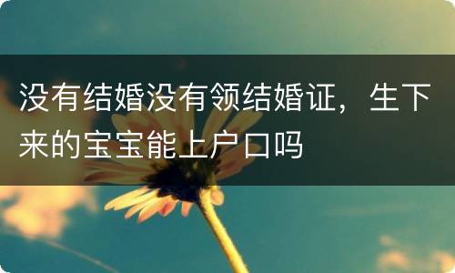 没有结婚没有领结婚证，生下来的宝宝能上户口吗