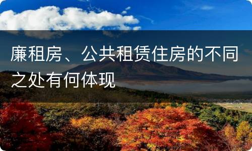廉租房、公共租赁住房的不同之处有何体现
