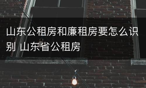 山东公租房和廉租房要怎么识别 山东省公租房
