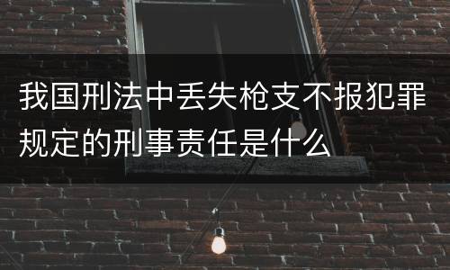 我国刑法中丢失枪支不报犯罪规定的刑事责任是什么