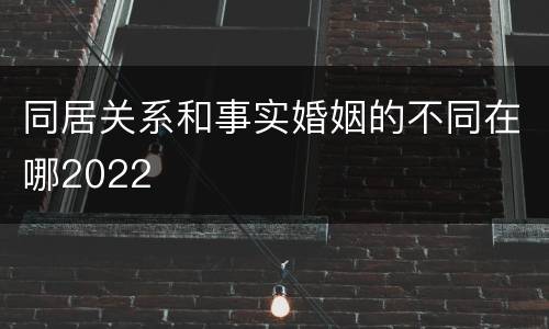 同居关系和事实婚姻的不同在哪2022