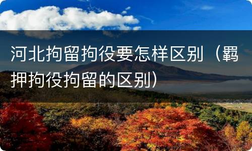 河北拘留拘役要怎样区别（羁押拘役拘留的区别）