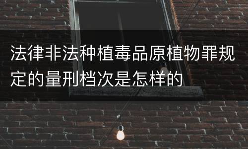 法律非法种植毒品原植物罪规定的量刑档次是怎样的