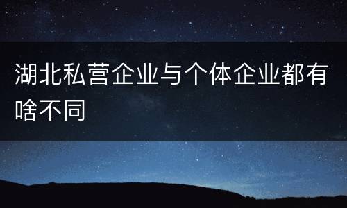 湖北私营企业与个体企业都有啥不同