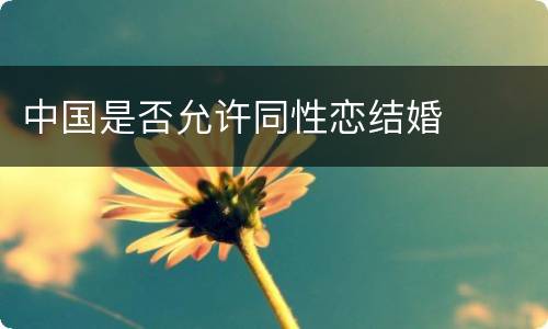 中国是否允许同性恋结婚