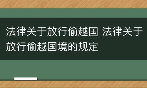 法律关于放行偷越国 法律关于放行偷越国境的规定
