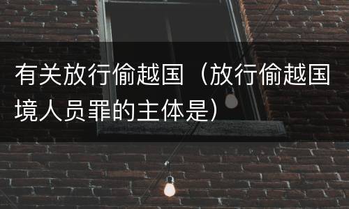 有关放行偷越国（放行偷越国境人员罪的主体是）
