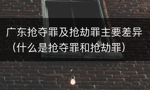 广东抢夺罪及抢劫罪主要差异（什么是抢夺罪和抢劫罪）