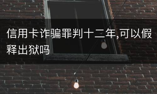 信用卡诈骗罪判十二年,可以假释出狱吗