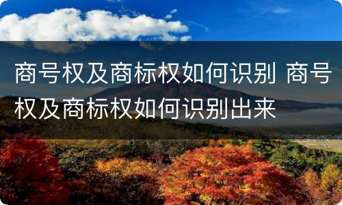 商号权及商标权如何识别 商号权及商标权如何识别出来