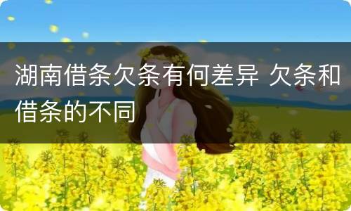 湖南借条欠条有何差异 欠条和借条的不同