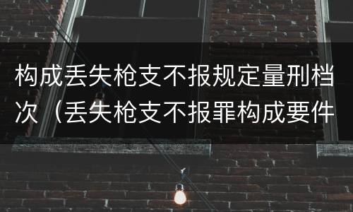 构成丢失枪支不报规定量刑档次（丢失枪支不报罪构成要件）