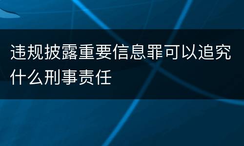 违规披露重要信息罪可以追究什么刑事责任