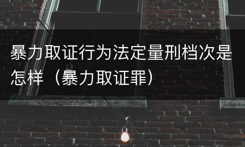 暴力取证行为法定量刑档次是怎样（暴力取证罪）
