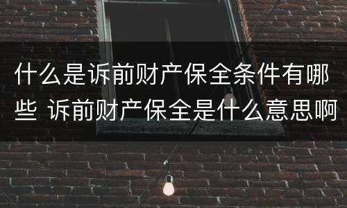 什么是诉前财产保全条件有哪些 诉前财产保全是什么意思啊