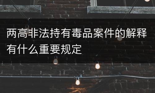 两高非法持有毒品案件的解释有什么重要规定