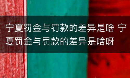 宁夏罚金与罚款的差异是啥 宁夏罚金与罚款的差异是啥呀
