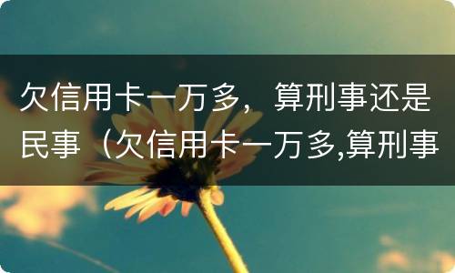 欠信用卡一万多，算刑事还是民事（欠信用卡一万多,算刑事还是民事案件）