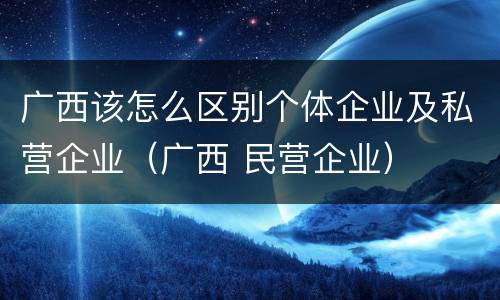广西该怎么区别个体企业及私营企业（广西 民营企业）