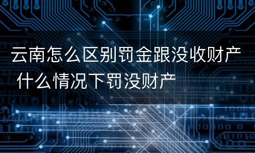 云南怎么区别罚金跟没收财产 什么情况下罚没财产