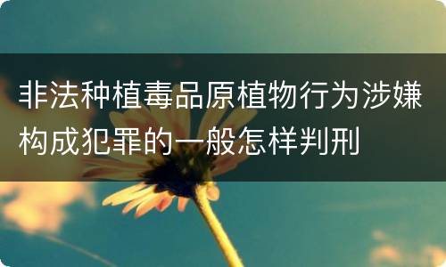 非法种植毒品原植物行为涉嫌构成犯罪的一般怎样判刑