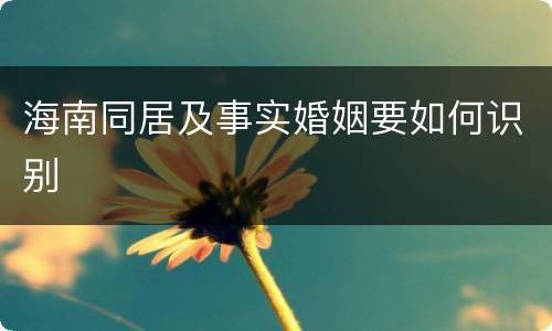 海南同居及事实婚姻要如何识别