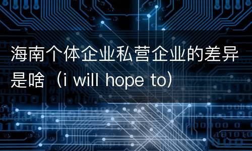 海南个体企业私营企业的差异是啥（i will hope to）