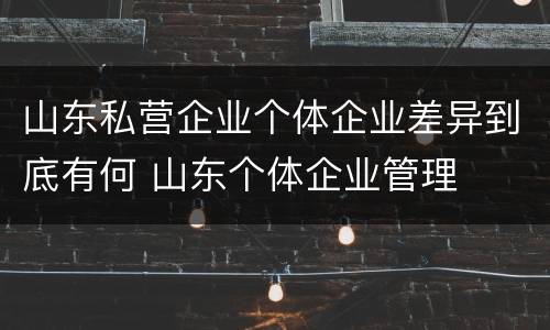 山东私营企业个体企业差异到底有何 山东个体企业管理
