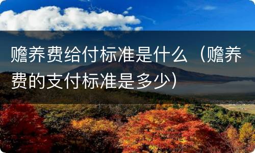 赡养费给付标准是什么（赡养费的支付标准是多少）