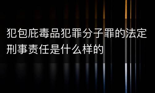 犯包庇毒品犯罪分子罪的法定刑事责任是什么样的